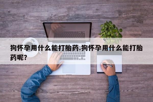 私人卖打胎药的联系方式微信新闻 第54页