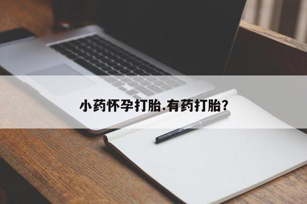 私人卖打胎药的联系方式微信小药怀孕打胎.有药打胎？