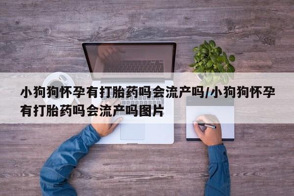 私人卖打胎药的联系方式微信小狗狗怀孕有打胎药吗会流产吗/小狗狗怀孕有打胎药吗会流产吗图片