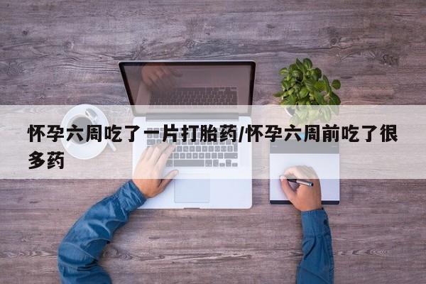 私人卖打胎药的联系方式微信怀孕六周吃了一片打胎药/怀孕六周前吃了很多药
