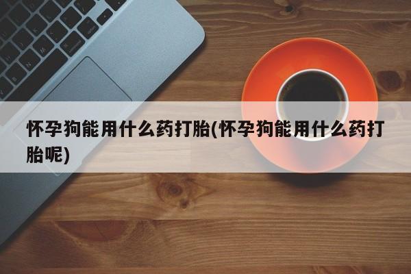 私人卖打胎药的联系方式微信怀孕狗能用什么药打胎(怀孕狗能用什么药打胎呢)